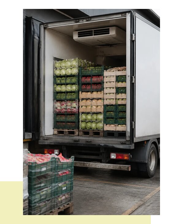 Перевозка плодоовощной продукции оптом напрямую в Бора