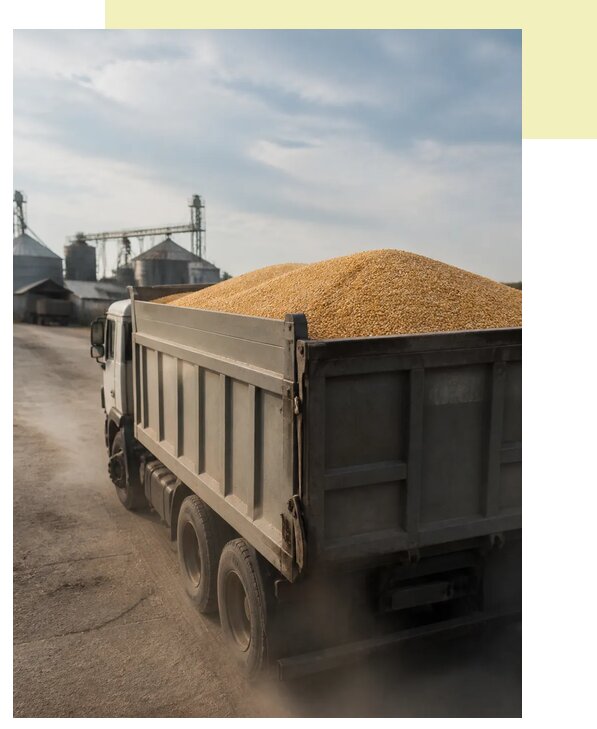 Перевозка сельхозпродукции навалом в Бора по цене от 3117 р. | Агросервис-Бор